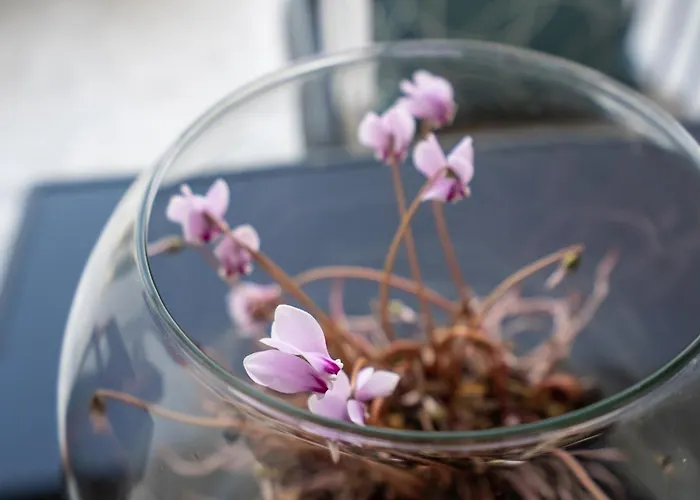 Villa Maria Pf Ee Nydri (Lefkada)